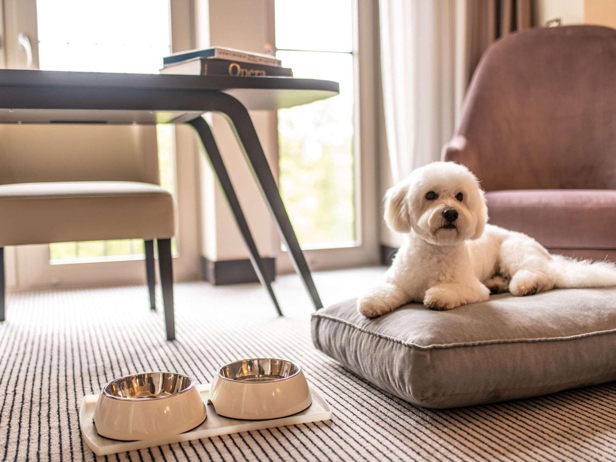 Hotel Sofitel Frankfurt Opera Fráncfort del Meno Exterior foto A dog at the Mandarin Oriental, Munich